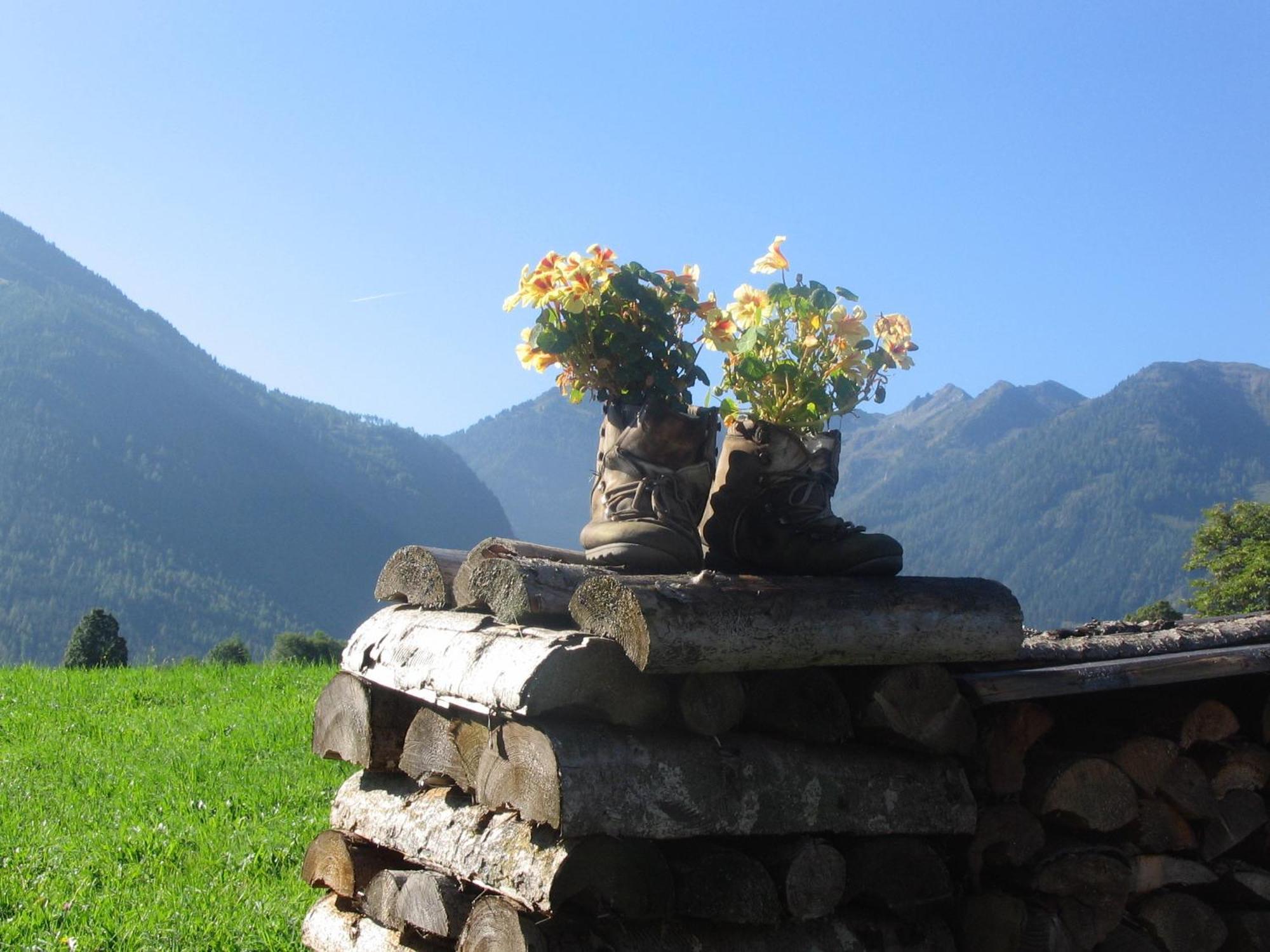 Landhaus Steiner Schladming Exteriör bild
